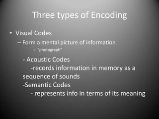Three processes of memory | PPT