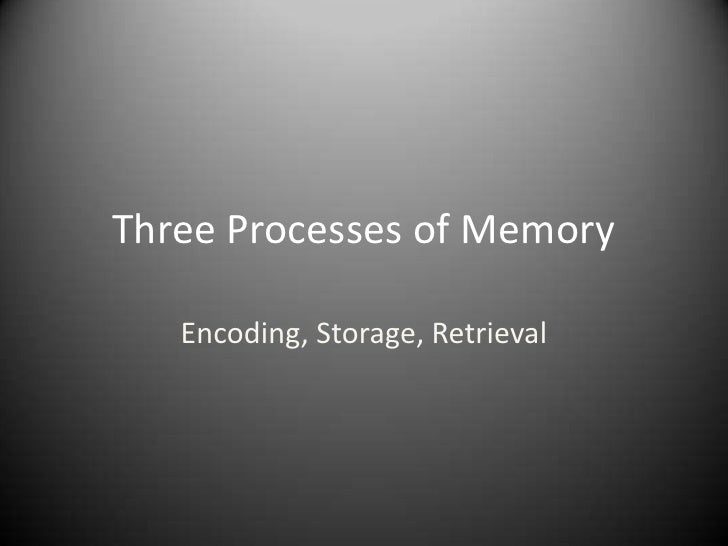 Three processes of memory