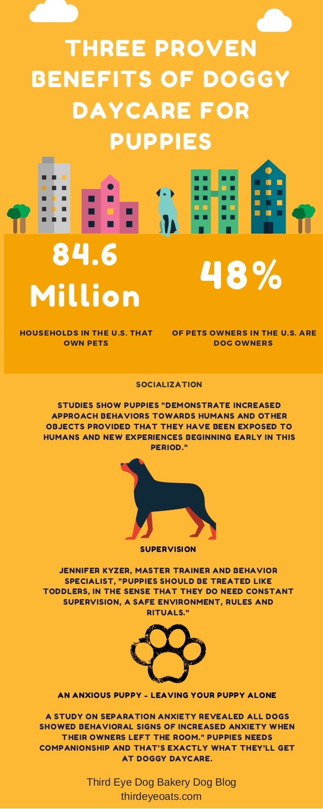 Three proven benefits of doggy daycare for puppies