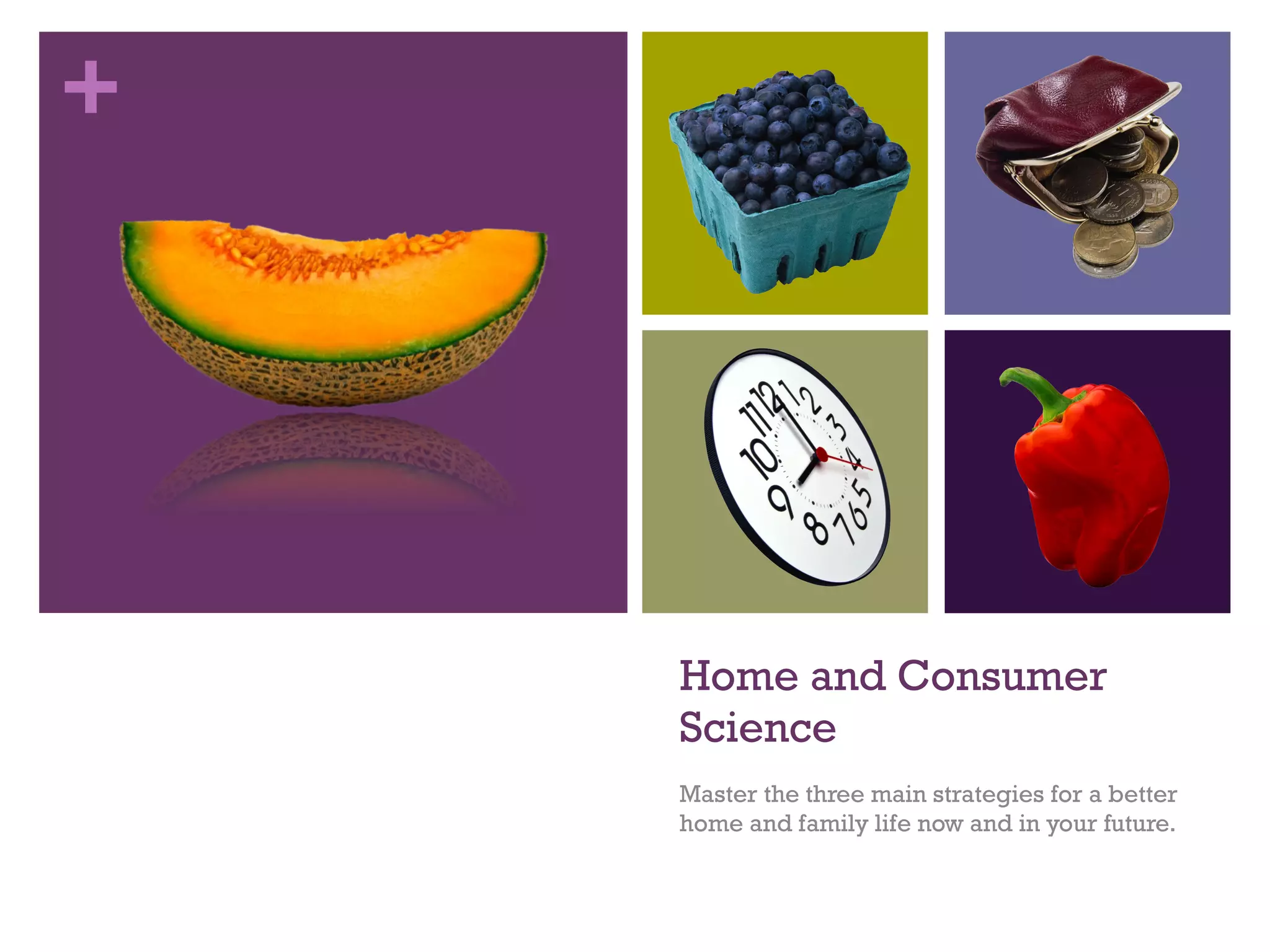 Home and Consumer Science Master the three main strategies for a better home and family life now and in your future. 