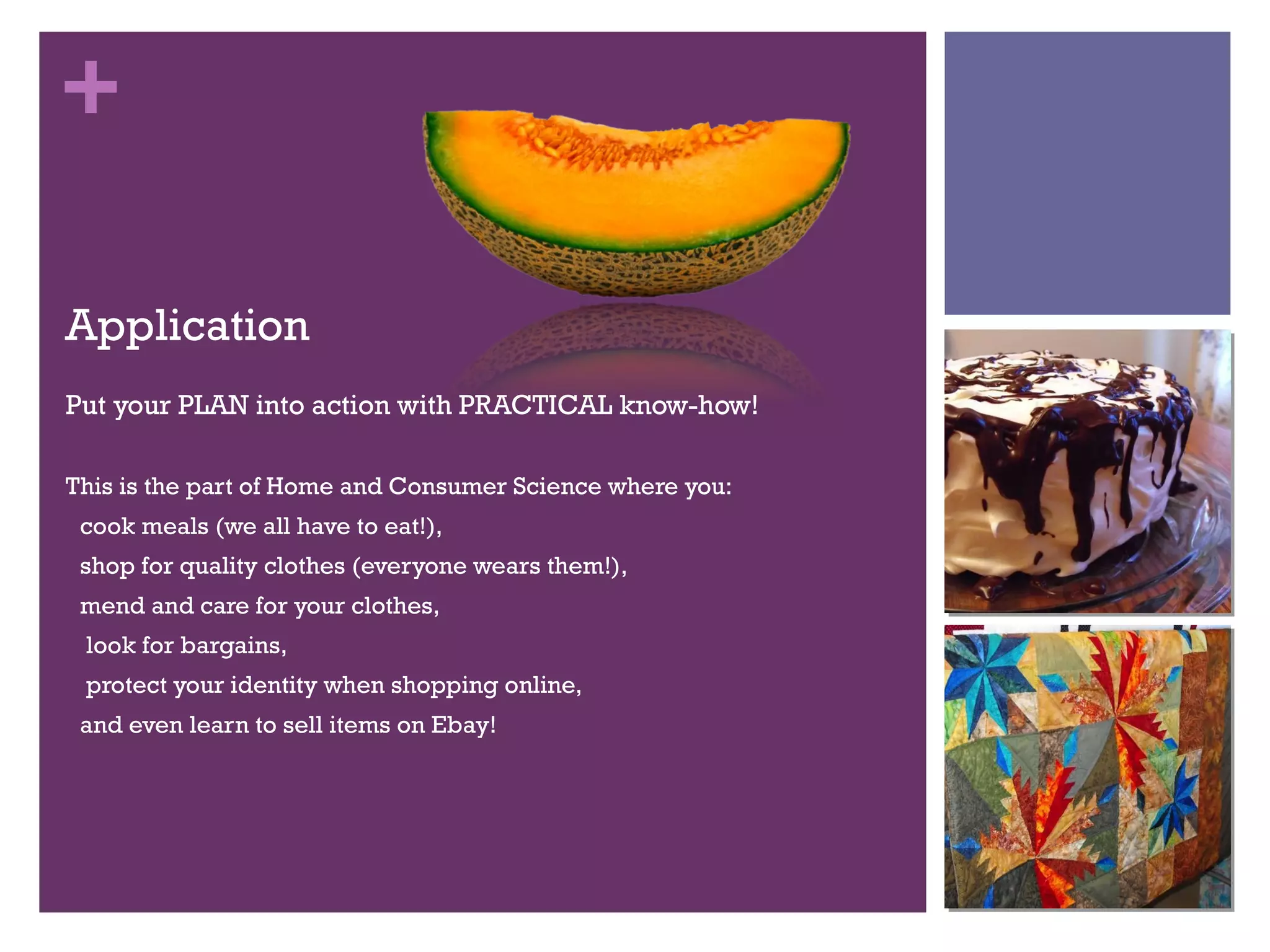 Application Put your PLAN into action with PRACTICAL know-how!  This is the part of Home and Consumer Science where you:  cook meals (we all have to eat!),  shop for quality clothes (everyone wears them!),  mend and care for your clothes, look for bargains, protect your identity when shopping online,  and even learn to sell items on Ebay!  