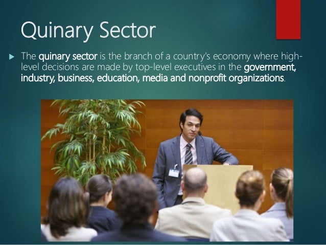 THREE SECTOR THEORY THREE SECTOR THEORY