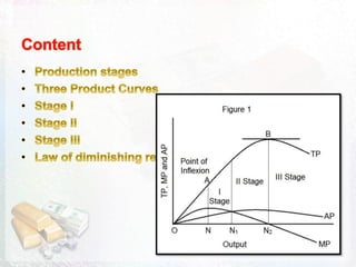 Three stages of production and law of diminishing