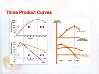 Three stages of production and law of diminishing