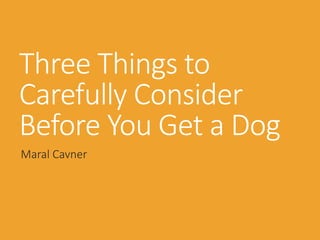 Three Things to
Carefully Consider
Before You Get a Dog
Maral Cavner
 