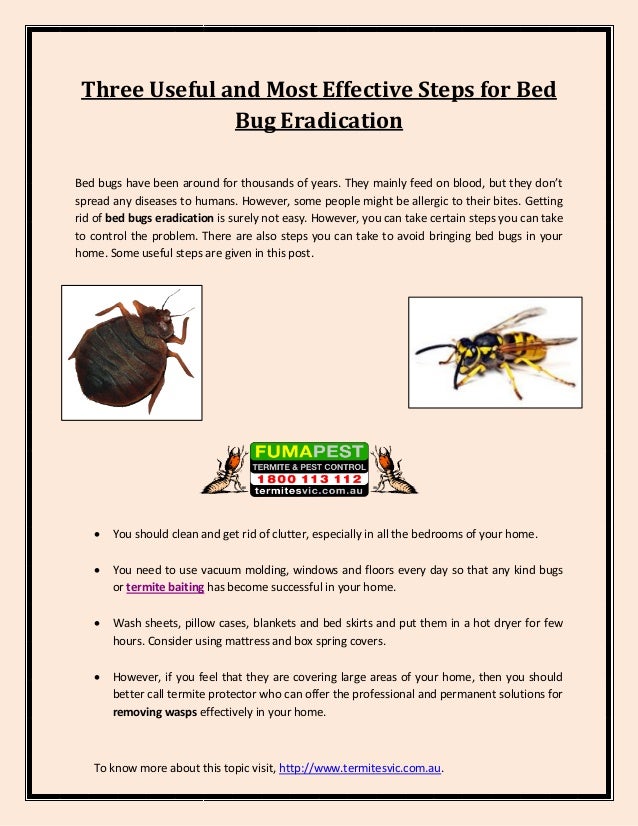 Three Useful and Most Effective Steps for Bed Bug Eradication