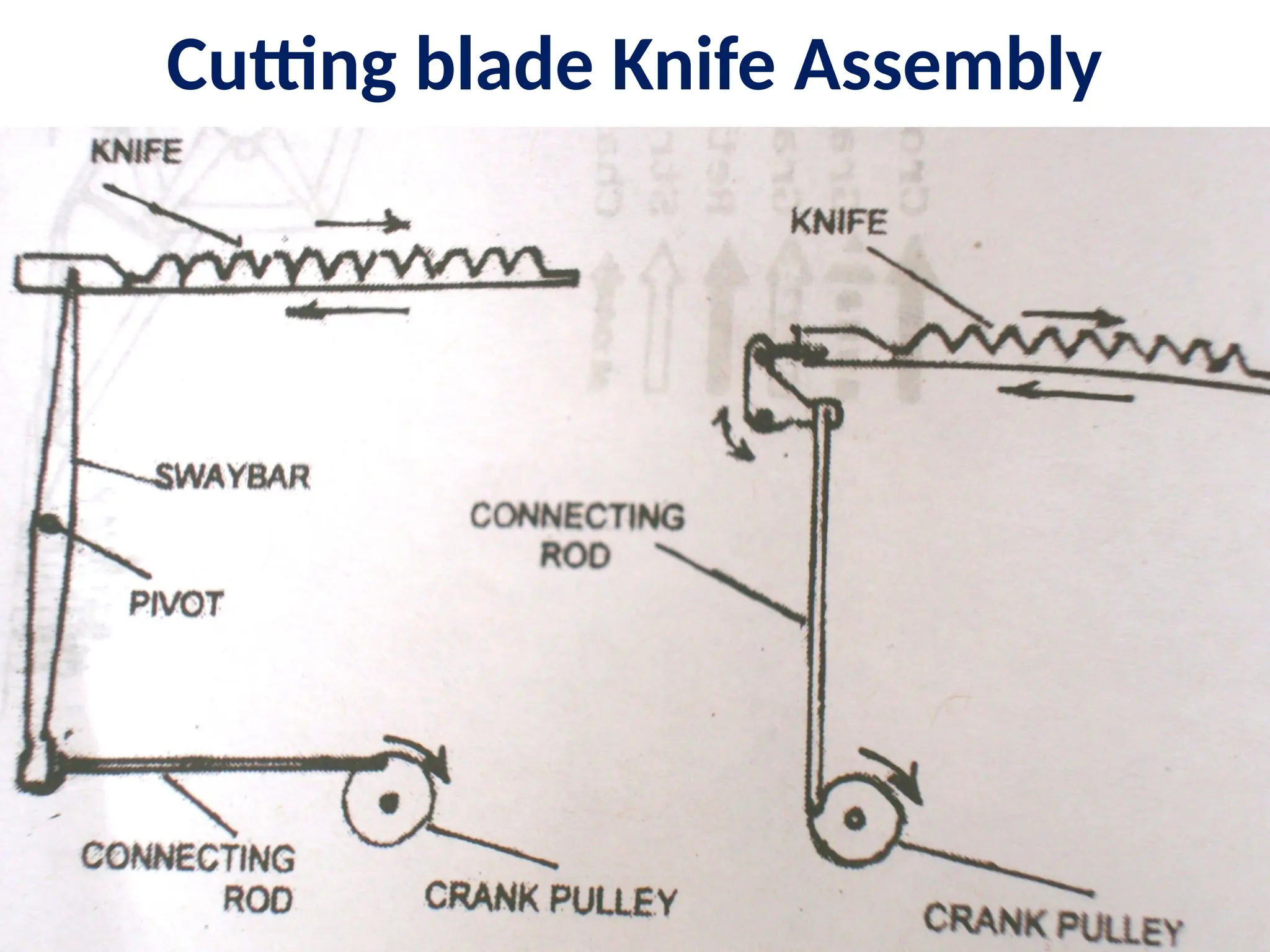 Cutting blade Knife Assembly
 