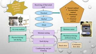 Linseed Threshing Process Threshing-drying-and-cleaning of agricultural grains-.pptx