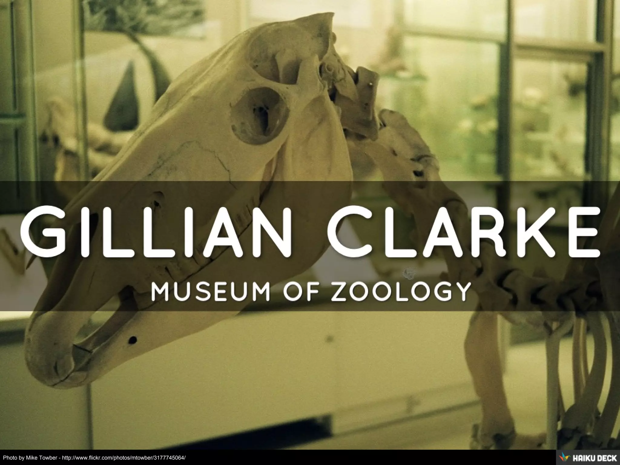 Photo by Mike Towber - http://www.flickr.com/photos/mtowber/3177745064/