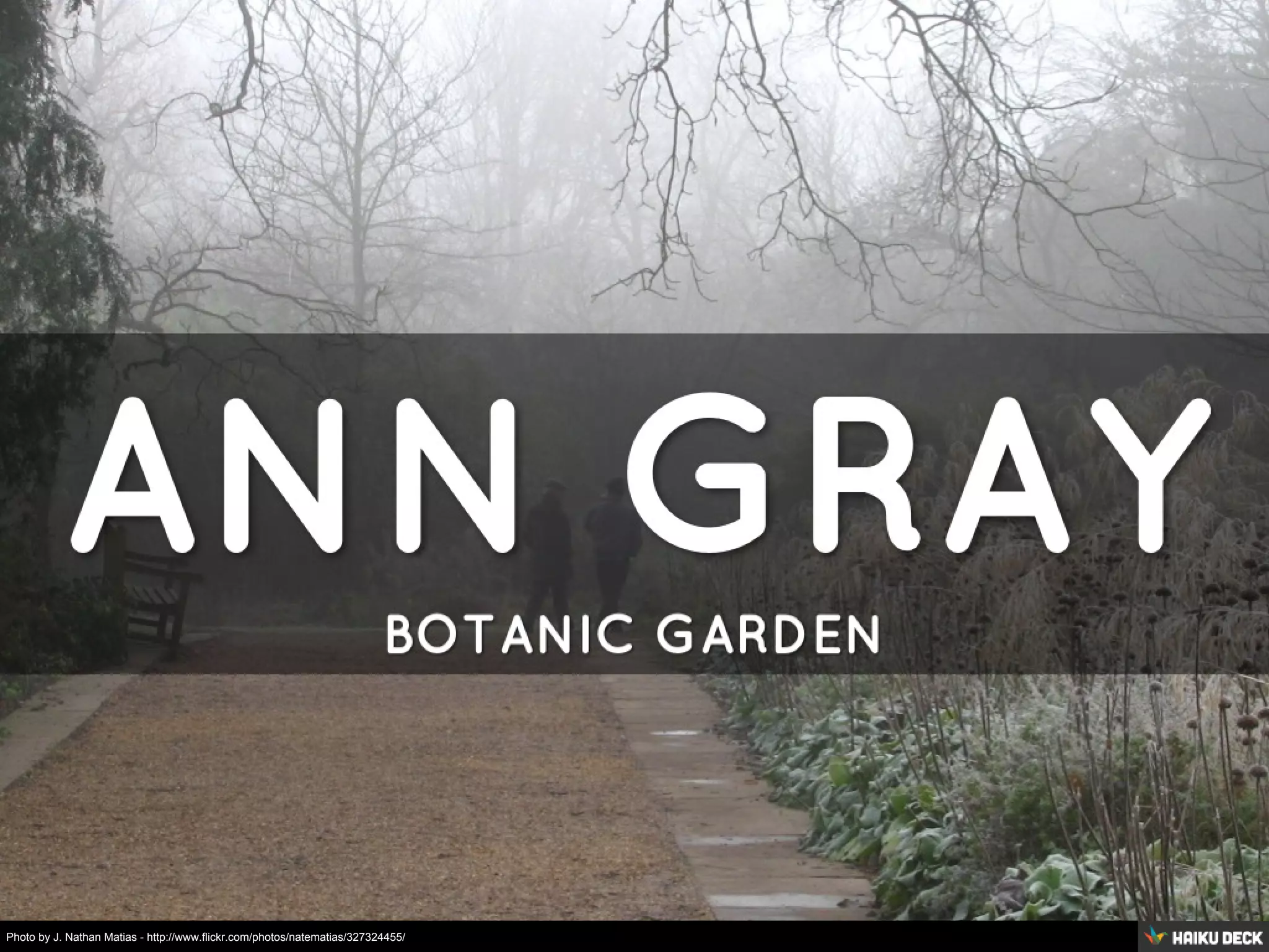 Photo by J. Nathan Matias - http://www.flickr.com/photos/natematias/327324455/