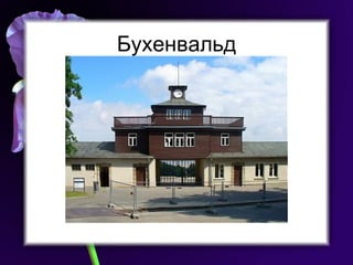 Бухенвальд 