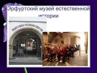 Эрфуртский музей естественной истории 