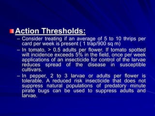 Action Thresholds:
– Consider treating if an average of 5 to 10 thrips per
card per week is present ( 1 trap/900 sq m)
– In tomato, > 0.5 adults per flower. If tomato spotted
wilt incidence exceeds 5% in the field, once per week
applications of an insecticide for control of the larvae
reduces spread of the disease in susceptible
cultivars.
– In pepper, 2 to 3 larvae or adults per flower is
tolerable. A reduced risk insecticide that does not
suppress natural populations of predatory minute
pirate bugs can be used to suppress adults and
larvae.
 