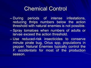 Chemical Control
– During periods of intense infestations,
reducing thrips numbers below the action
threshold with natural enemies is not possible.
– Spray tomatoes when numbers of adults or
larvae exceed the action threshold.
– Use reduced-risk insecticides to conserve
minute pirate bug, Orius spp, populations in
pepper. Natural Enemies typically control the
F. occidentalis for most of the production
season.
 