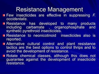 Resistance Management
Few insecticides are effective in suppressing F.
occidentalis.
Resistance has developed to many products
including carbamate , organophosphate and
synthetic pyrethroid insecticides.
Resistance to neonicotinoid insecticides also is
reported.
Alternative cultural control and plant resistance
tactics are the best options to control thrips and to
avoid the development of resistance.
Rotate chemical classes, although this does not
guarantee against the development of insecticide
resistance.
 