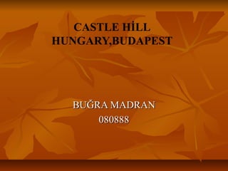 CASTLE HİLL
HUNGARY,BUDAPEST
BUĞRA MADRANBUĞRA MADRAN
080888080888
 