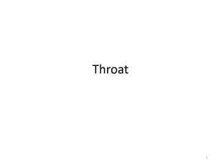 Throat
1
 