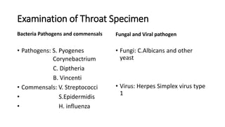 Throat Swab, Sputum and Pus.pptx
