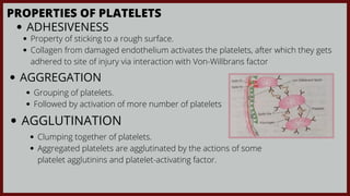 PROPERTIES OF PLATELETS
ADHESIVENESS
Property of sticking to a rough surface.
Collagen from damaged endothelium activates the platelets, after which they gets

adhered to site of injury via interaction with Von-Willbrans factor
AGGREGATION
Grouping of platelets.
Followed by activation of more number of platelets
AGGLUTINATION
Clumping together of platelets.
Aggregated platelets are agglutinated by the actions of some

platelet agglutinins and platelet-activating factor.
 