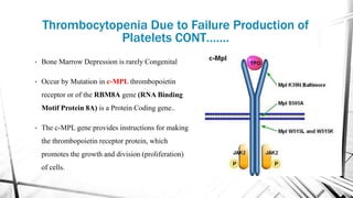 Thrombocytopenia Due to Failure Production of
Platelets CONT…….
• Bone Marrow Depression is rarely Congenital
• Occur by Mutation in c‐MPL thrombopoietin
receptor or of the RBM8A gene (RNA Binding
Motif Protein 8A) is a Protein Coding gene..
• The c-MPL gene provides instructions for making
the thrombopoietin receptor protein, which
promotes the growth and division (proliferation)
of cells.
 