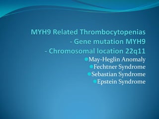 May-Heglin Anomaly
Fechtner Syndrome
Sebastian Syndrome
Epstein Syndrome
 