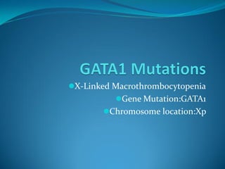 X-Linked Macrothrombocytopenia
Gene Mutation:GATA1
Chromosome location:Xp
 