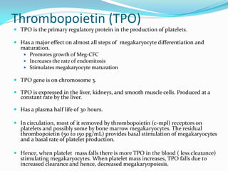 Thrombopoietin (TPO)
 TPO is the primary regulatory protein in the production of platelets.
 Has a major effect on almost all steps of megakaryocyte differentiation and
maturation.
 Promotes growth of Meg-CFC
 Increases the rate of endomitosis
 Stimulates megakaryocyte maturation
 TPO gene is on chromosome 3.
 TPO is expressed in the liver, kidneys, and smooth muscle cells. Produced at a
constant rate by the liver.
 Has a plasma half life of 30 hours.
 In circulation, most of it removed by thrombopoietin (c-mpl) receptors on
platelets and possibly some by bone marrow megakaryocytes. The residual
thrombopoietin (50 to 150 pg/mL) provides basal stimulation of megakaryocytes
and a basal rate of platelet production.
 Hence, when platelet mass falls there is more TPO in the blood ( less clearance)
stimulating megakaryocytes. When platelet mass increases, TPO falls due to
increased clearance and hence, decreased megakaryopoiesis.
 