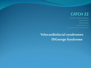Velocardiofacial syndromes DiGeorge Syndrome  