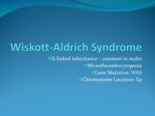 X-linked inheritance – common in males Microthrombocytopenia Gene Mutation: WAS Chromosome Location: Xp 