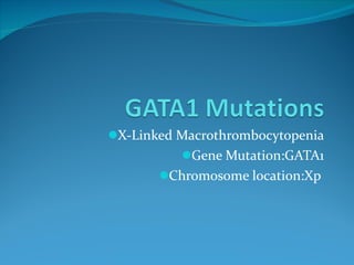 X-Linked Macrothrombocytopenia Gene Mutation:GATA1 Chromosome location:Xp  