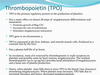 Thrombopoietin (TPO) TPO is the primary regulatory protein in the production of platelets. Has a major effect on almost all steps of  megakaryocyte differentiation and maturation.  Promotes growth of Meg-CFC Increases the rate of endomitosis Stimulates megakaryocyte maturation TPO gene is on chromosome 3. TPO is expressed in the liver,   kidneys, and smooth muscle cells. Produced at a constant rate by the liver. Has a plasma half life of 30 hours. In circulation, most of it removed by thrombopoietin (c-mpl) receptors on platelets and possibly some by bone marrow megakaryocytes. The residual thrombopoietin (50 to 150 pg/mL) provides basal stimulation of megakaryocytes and a basal rate of platelet production.  Hence, when platelet  mass falls there is more TPO in the blood ( less clearance) stimulating megakaryocytes. When platelet mass increases, TPO falls due to increased clearance and hence, decreased megakaryopoiesis.  