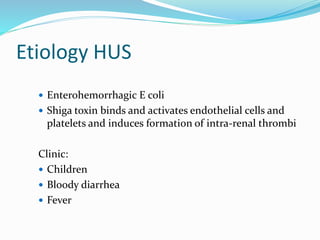 Etiology HUS
 Enterohemorrhagic E coli
 Shiga toxin binds and activates endothelial cells and
platelets and induces formation of intra-renal thrombi
Clinic:
 Children
 Bloody diarrhea
 Fever
 
