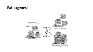 Pathogenesis
 