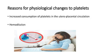 Reasons for physiological changes to platelets
• Increased consumption of platelets in the utero-placental circulation
• Hemodilution
 