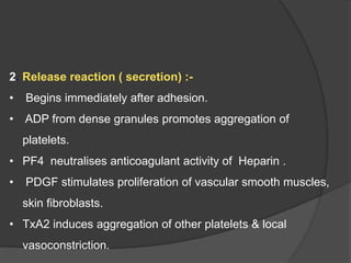 2. Release reaction ( secretion) :-
• Begins immediately after adhesion.
• ADP from dense granules promotes aggregation of
platelets.
• PF4 neutralises anticoagulant activity of Heparin .
• PDGF stimulates proliferation of vascular smooth muscles,
skin fibroblasts.
• TxA2 induces aggregation of other platelets & local
vasoconstriction.
 