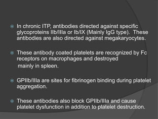  In chronic ITP, antibodies directed against specific
glycoproteins IIb/IIIa or Ib/IX (Mainly IgG type). These
antibodies are also directed against megakaryocytes.
 These antibody coated platelets are recognized by Fc
receptors on macrophages and destroyed
mainly in spleen.
 GPIIb/IIIa are sites for fibrinogen binding during platelet
aggregation.
 These antibodies also block GPIIb/IIIa and cause
platelet dysfunction in addition to platelet destruction.
 