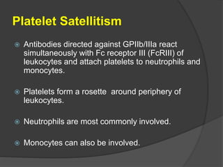 Platelet Satellitism
 Antibodies directed against GPIIb/IIIa react
simultaneously with Fc receptor III (FcRIII) of
leukocytes and attach platelets to neutrophils and
monocytes.
 Platelets form a rosette around periphery of
leukocytes.
 Neutrophils are most commonly involved.
 Monocytes can also be involved.
 