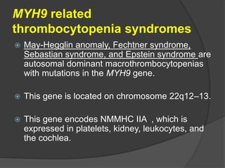 MYH9 related
thrombocytopenia syndromes
 May-Hegglin anomaly, Fechtner syndrome,
Sebastian syndrome, and Epstein syndrome are
autosomal dominant macrothrombocytopenias
with mutations in the MYH9 gene.
 This gene is located on chromosome 22q12–13.
 This gene encodes NMMHC IIA , which is
expressed in platelets, kidney, leukocytes, and
the cochlea.
 