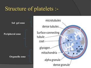 Structure of platelets :-
Sol gel zone
Peripheral zone
Organelle zone
 