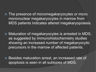  The presence of micromegakaryocytes or micro
mononuclear megakaryocytes in marrow from
MDS patients indicates altered megakaryopoiesis.
 Maturation of megakaryocytes is arrested in MDS,
as suggested by immunohistochemistry studies
showing an increased number of megakaryocytic
precursors in the marrow of affected patients.
 Besides maturation arrest, an increased rate of
apoptosis is seen in all subtypes of MDS.
 