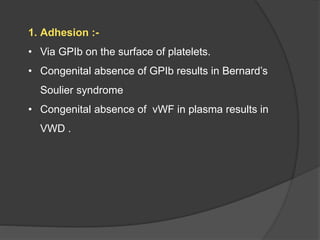 1. Adhesion :-
• Via GPIb on the surface of platelets.
• Congenital absence of GPIb results in Bernard’s
Soulier syndrome
• Congenital absence of vWF in plasma results in
VWD .
 
