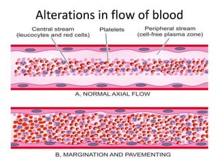 Alterations in flow of blood
 