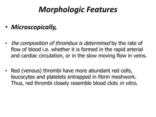 Morphologic Features
• Microscopically,
• the composition of thrombus is determined by the rate of
flow of blood i.e. whether it is formed in the rapid arterial
and cardiac circulation, or in the slow moving flow in veins.
• Red (venous) thrombi have more abundant red cells,
leucocytes and platelets entrapped in fibrin meshwork.
Thus, red thrombi closely resemble blood clots in vitro.
 