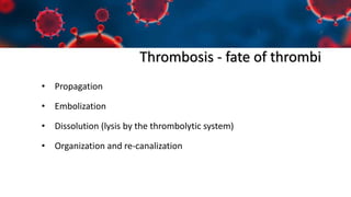 Thrombosis - fate of thrombi
• Propagation
• Embolization
• Dissolution (lysis by the thrombolytic system)
• Organization and re-canalization
 