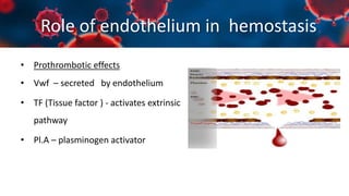 Role of endothelium in hemostasis
• Prothrombotic effects
• Vwf – secreted by endothelium
• TF (Tissue factor ) - activates extrinsic
pathway
• Pl.A – plasminogen activator
 