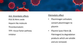 Fibrinolytic effect
• Plasminogen activators
convert plasminogen to
plasmin
• Plasmin lyses Fibrin (&
Fibrinogen) to degradation
products which are soluble
and are removed.
Anti thrombotic effects
PGI2 & Nitric oxide
Heparin like molecule
Thrombomodulin
TFPI –tissue factor pathway
inhibitor
 