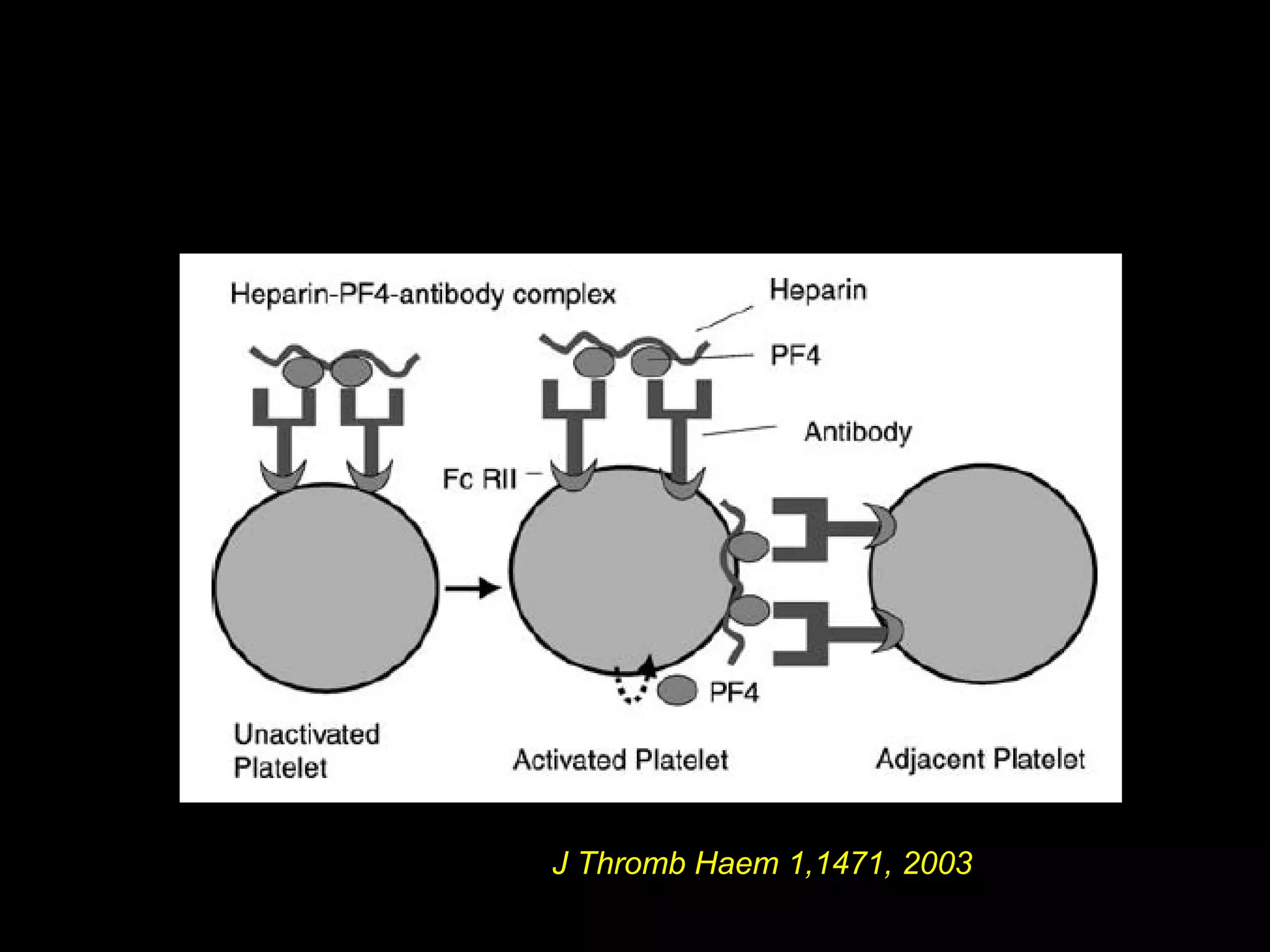 J Thromb Haem 1,1471, 2003
 
