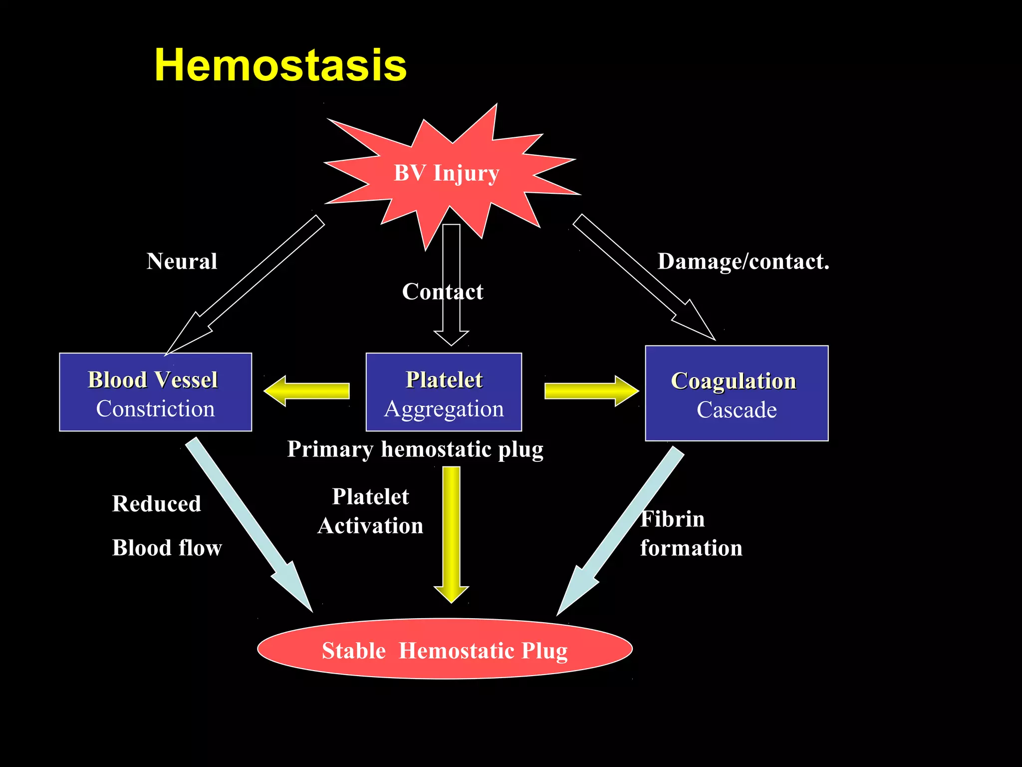 HemostasisHemostasis
BV Injury
PlateletPlatelet
Aggregation
Platelet
Activation
Blood VesselBlood Vessel
Constriction
CoagulationCoagulation
Cascade
Stable Hemostatic Plug
Fibrin
formation
Reduced
Blood flow
Damage/contact.
Primary hemostatic plug
Neural
Contact
 