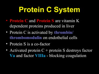 Protein C System
• Protein C and Protein S are vitamin K
dependent proteins produced in liver
• Protein C is activated by thrombin/
thrombomodulin on endothelial cells
• Protein S is a co-factor
• Activated protein C + protein S destroys factor
Va and factor VIIIa - blocking coagulation
 