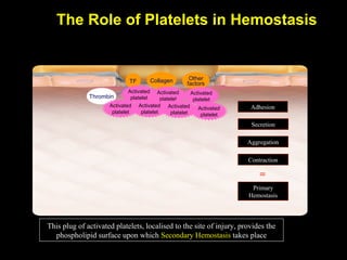 The Role of Platelets in Hemostasis
Collagen Other
factorsTF
Thrombin
Activated
platelet
Activated
platelet
Activated
platelet
Adhesion
Aggregation
Contraction
Secretion
Primary
Hemostasis
=
Activated
platelet
Activated
platelet
Activated
platelet
Activated
platelet
This plug of activated platelets, localised to the site of injury, provides the
phospholipid surface upon which Secondary Hemostasis takes place
 